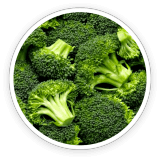 fast lean pro